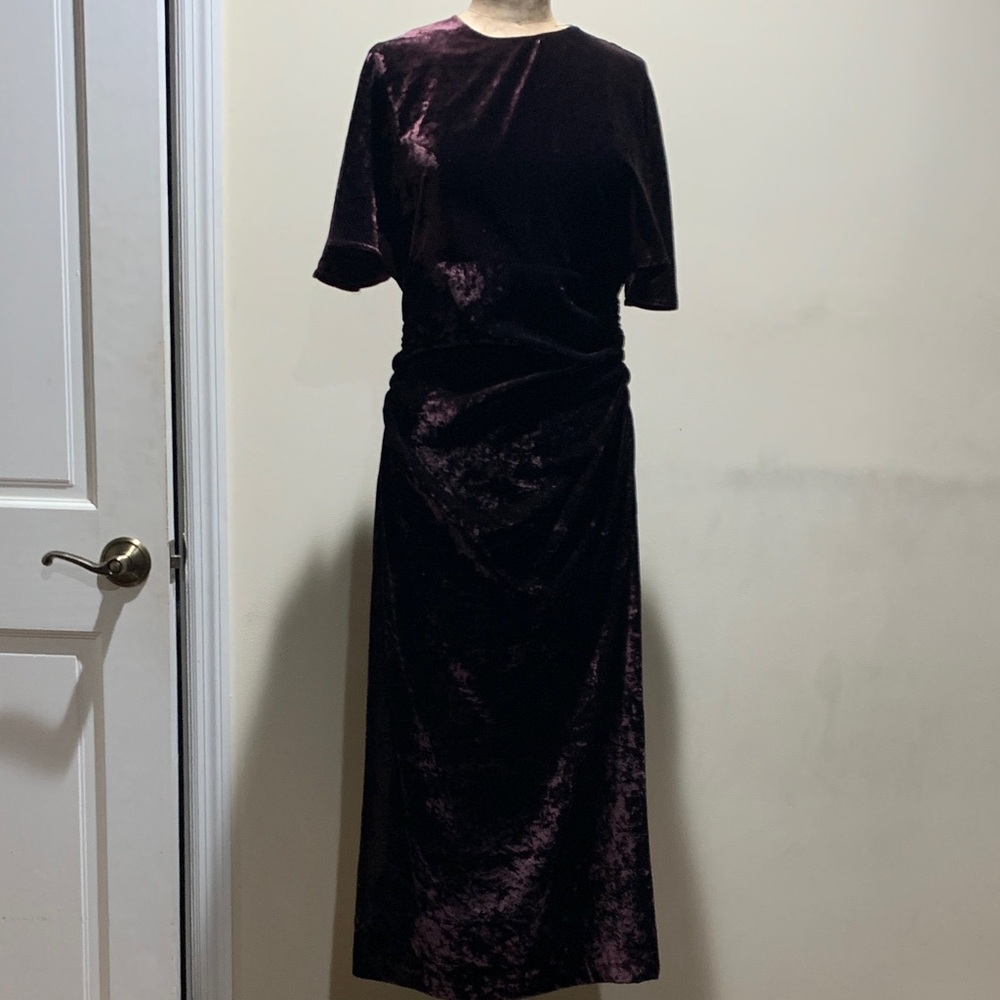 Zara Elegant Velvet Dress in Deep Purple